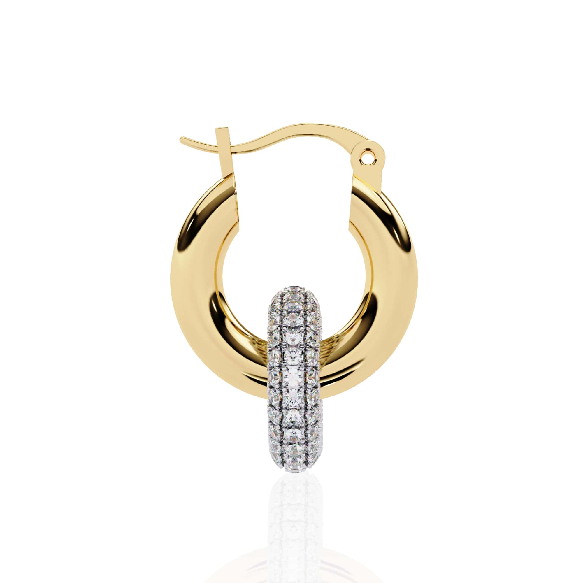 Jal Mahal Earrings